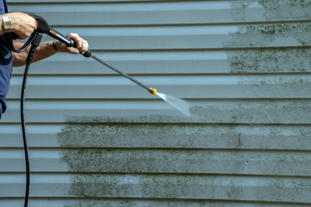 Best Sidewalk and Walkway Pressure Cleaning in Lyndhurst, VA